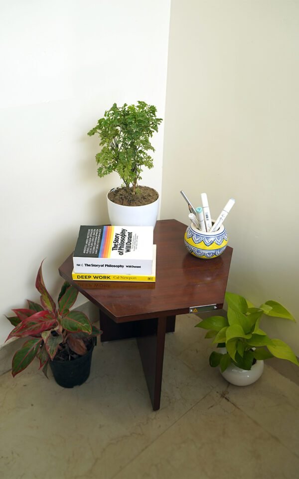 HEXAGON WOODEN CENTER TABLE (SMALL) - Image 3