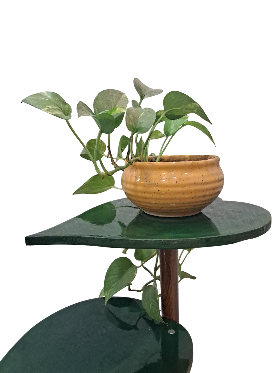 GREEN TWIG - Image 6