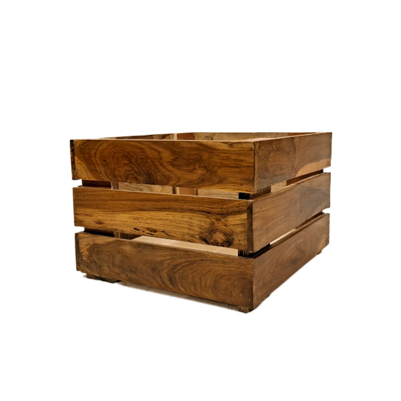 GARDEN IN ROOM - Image 2